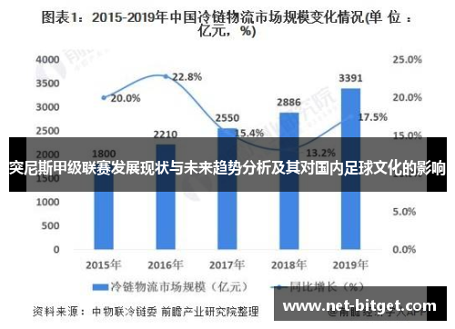 突尼斯甲级联赛发展现状与未来趋势分析及其对国内足球文化的影响